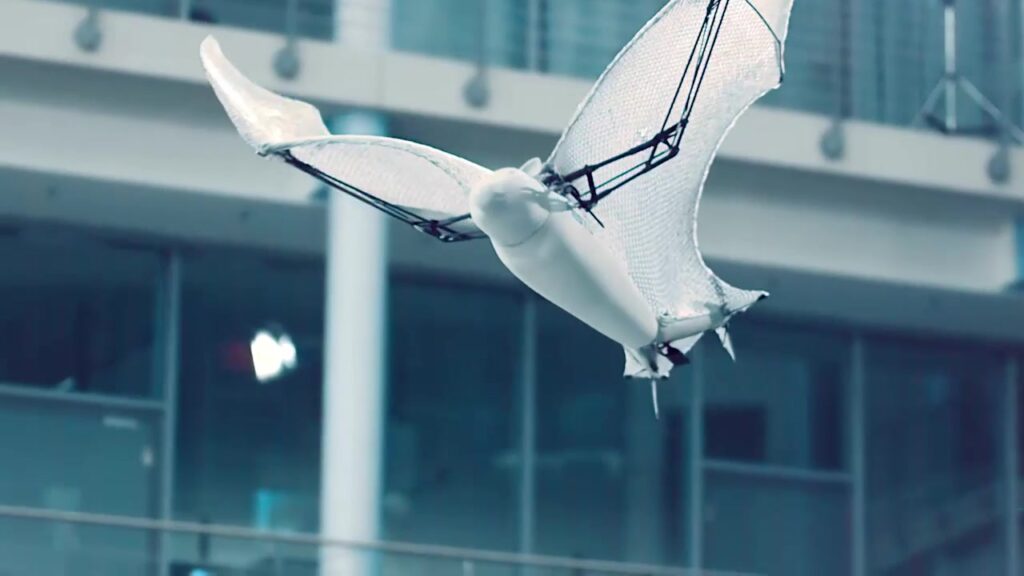 Festo BionicFlyingFox in flight with its flexible membrane wings spread wide