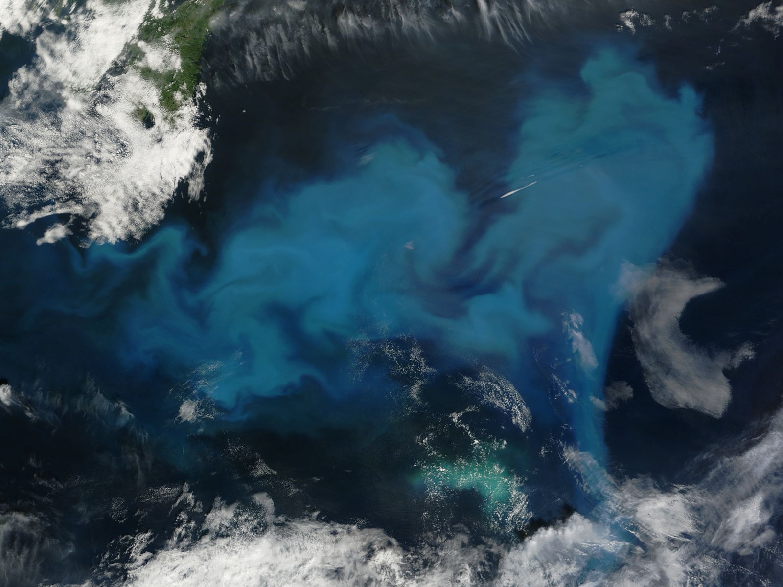 Satellite view of a swirling blue-green phytoplankton bloom in the North Atlantic