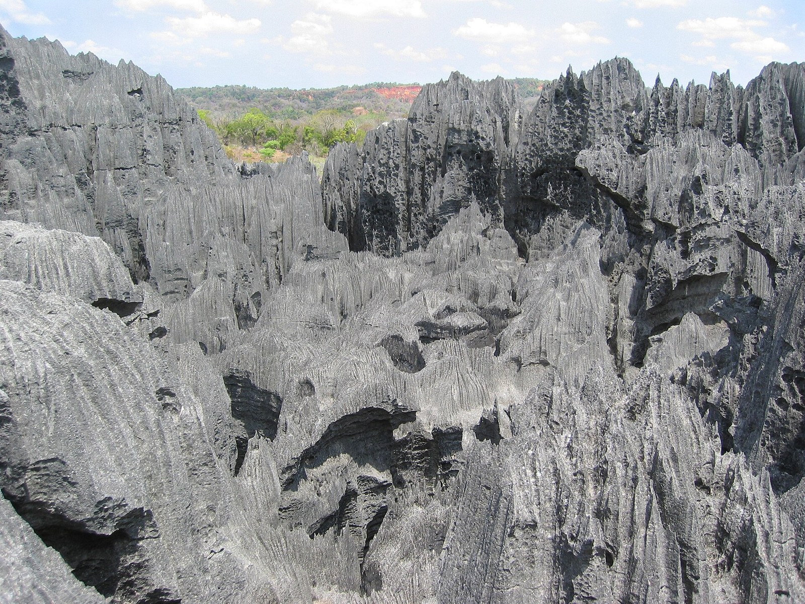 Sharp grey limestone pinnacles of the Tsingy de Bemaraha in Madagascar